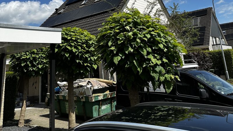 Efficiënt zonnepanelensysteem in Brummen