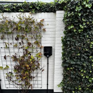Een laadpaal voor elektrische voertuigen is geïnstalleerd aan de muur, omringd door begroeiing en straatstenen.