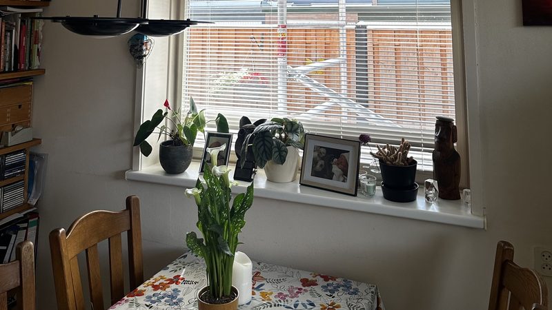 Efficiënte airco-installatie thuis in Apeldoorn