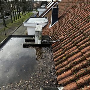 De foto toont zonnepanelen op een schuin dak, omgeven door bladeren en water. De installatie lijkt verstoord door vuil en vegetatie.