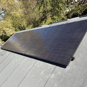 12 all-black zonnepanelen in Hoog Soeren - Afbeelding 9