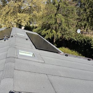 12 all-black zonnepanelen in Hoog Soeren - Afbeelding 3
